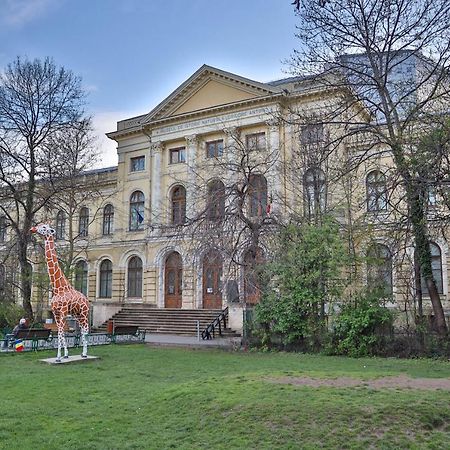 Oak Apartment - Piata Victoriei Бухарест Экстерьер фото